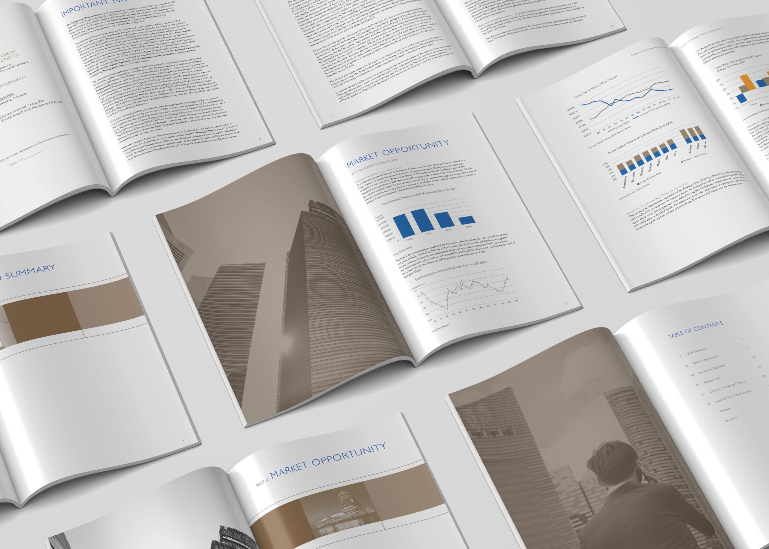 Annual Report Design