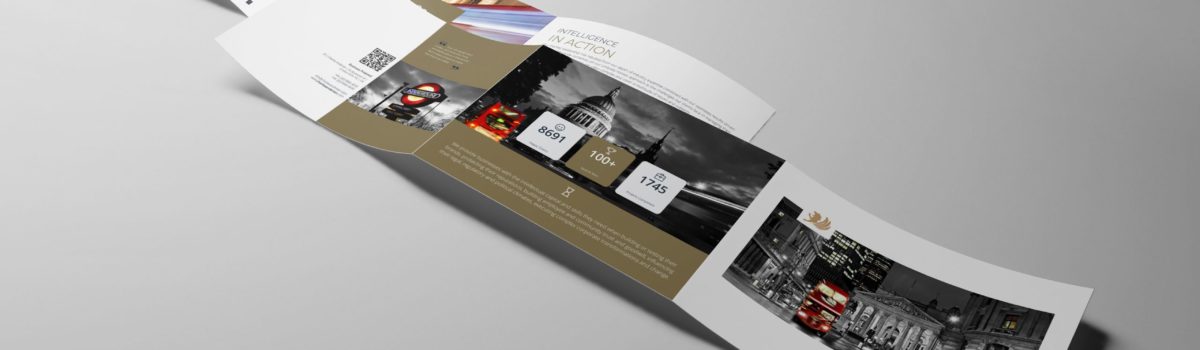 Private Equity Brochure Design