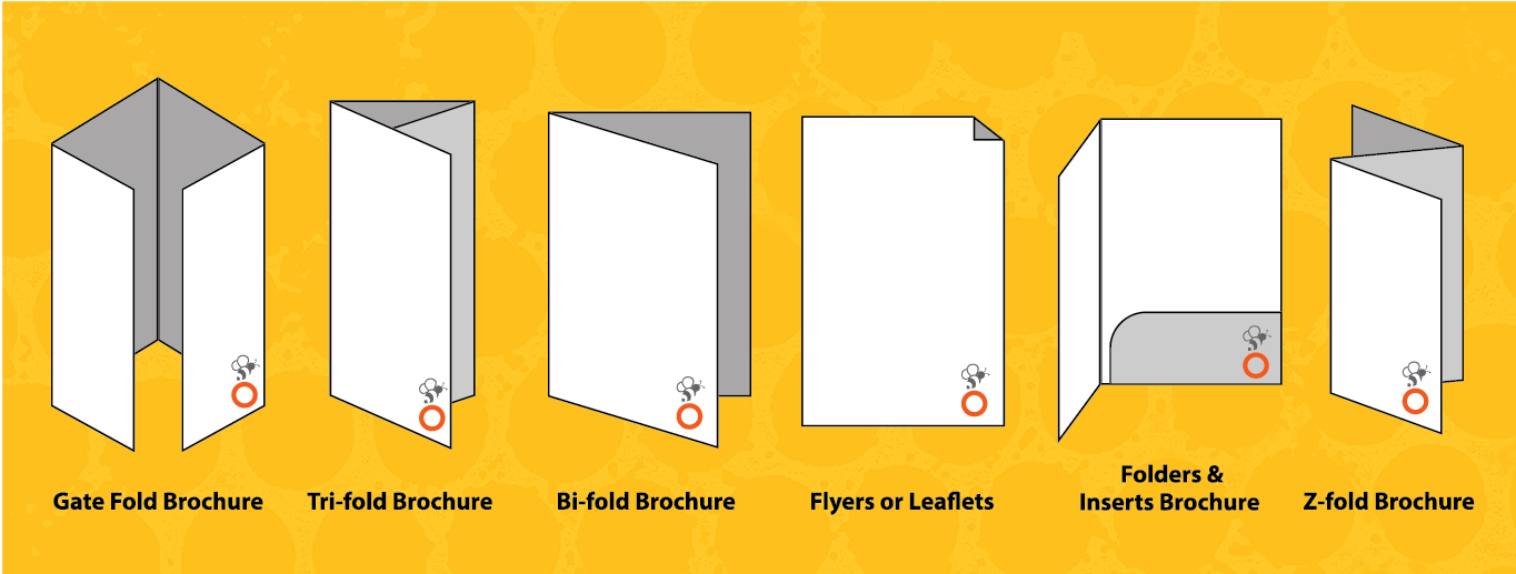 Common Brochure Shapes and Sizes