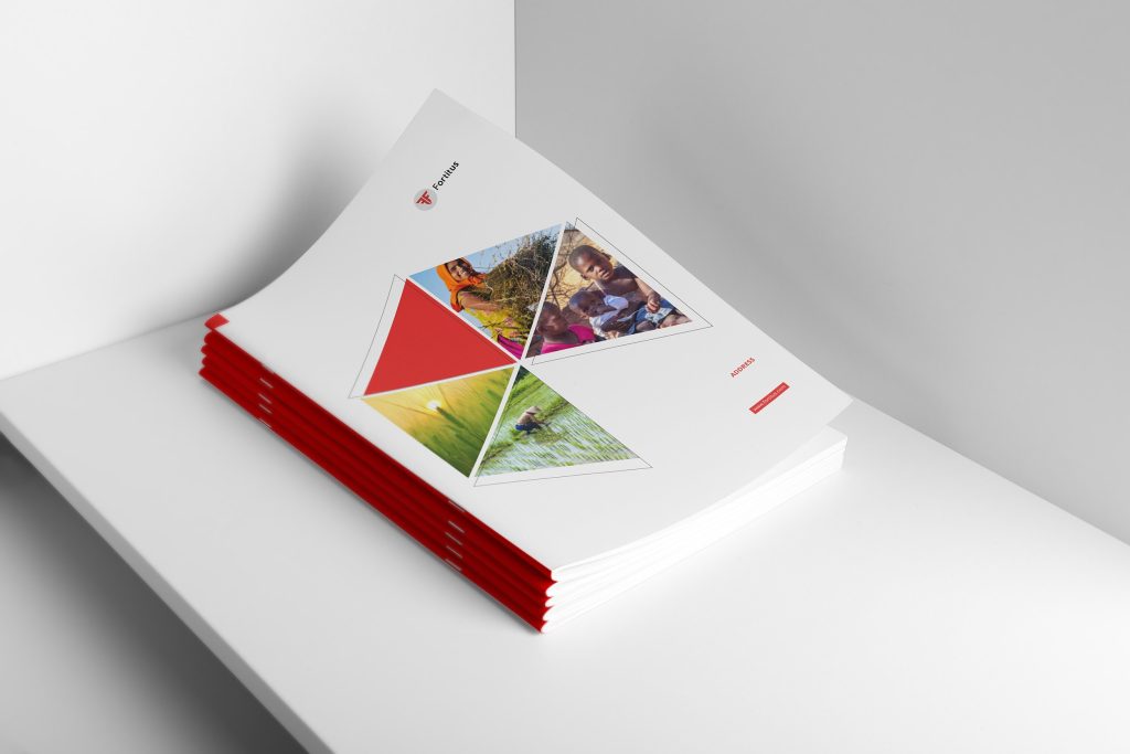 Top Benefits of Hiring a Brochure Design Agency for Your Business in 2025 1 brochure design agency