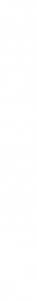 text1